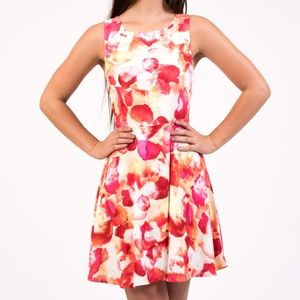 NWOT BLACK SWAN Watercolor Dress